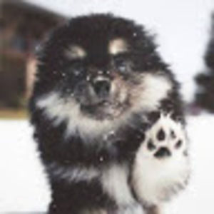 Meet your Posher, Arrow